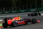 Foto zur News: Max Verstappen (Red Bull)