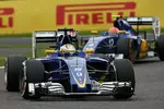 Foto zur News: Marcus Ericsson (Sauber)