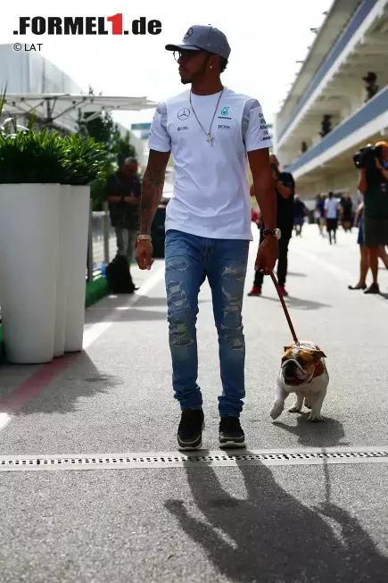 Foto zur News: Lewis Hamilton (Mercedes)