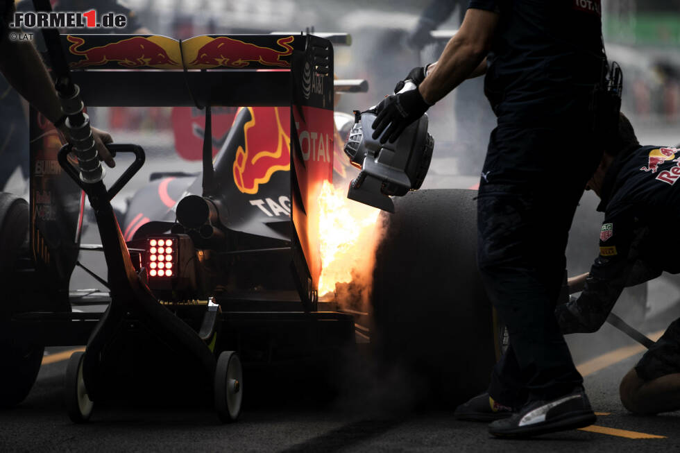 Foto zur News: Max Verstappen (Red Bull)