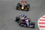 Foto zur News: Daniil Kwjat (Toro Rosso) und Max Verstappen (Red Bull)