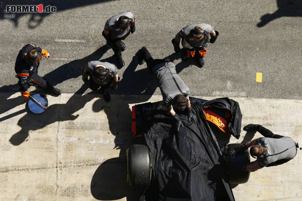 Foto zur News: Stoffel Vandoorne (McLaren)