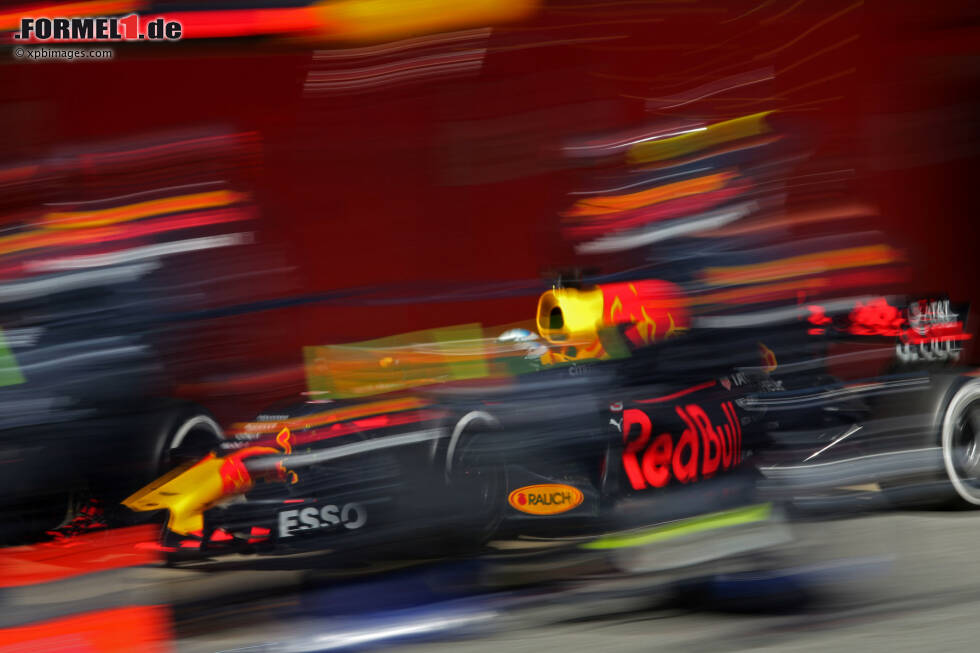 Foto zur News: Daniel Ricciardo (Red Bull)