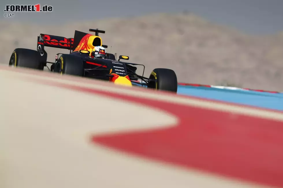 Foto zur News: Daniel Ricciardo (Red Bull)