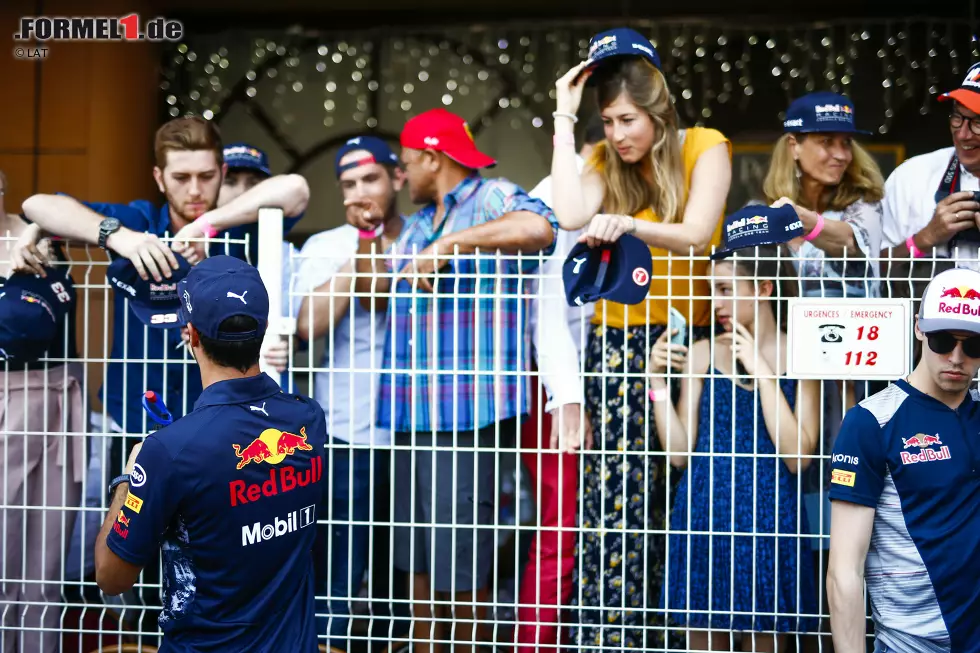 Foto zur News: Daniel Ricciardo (Red Bull)