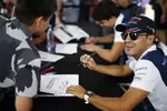 Foto zur News: Felipe Massa (Williams) und Lance Stroll (Williams)