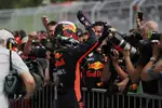 Foto zur News: Daniel Ricciardo (Red Bull)