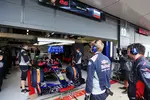 Foto zur News: Daniil Kwjat (Toro Rosso)