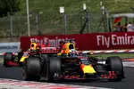 Foto zur News: Daniel Ricciardo (Red Bull) und Max Verstappen (Red Bull)