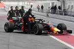 Foto zur News: Daniel Ricciardo (Red Bull)