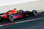 Foto zur News: Max Verstappen (Red Bull)