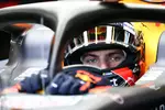 Foto zur News: Max Verstappen (Red Bull)