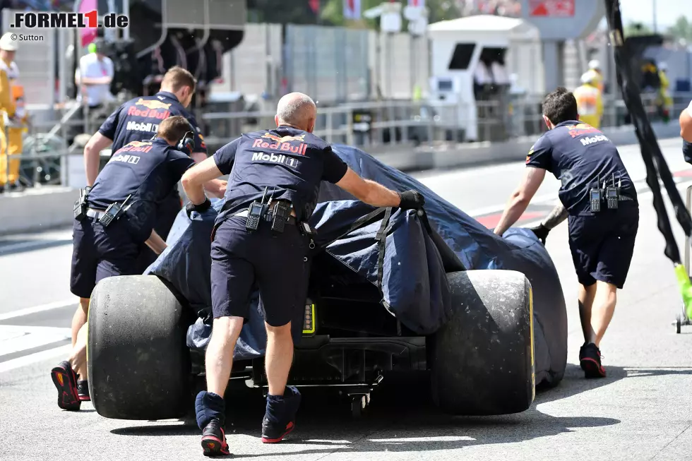 Foto zur News: Daniel Ricciardo (Red Bull)