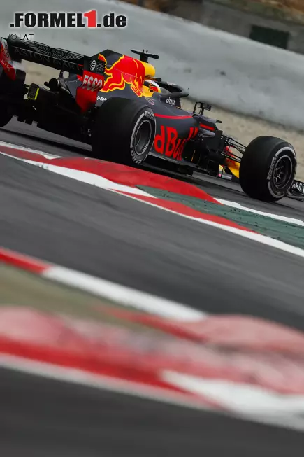 Foto zur News: Daniel Ricciardo (Red Bull)