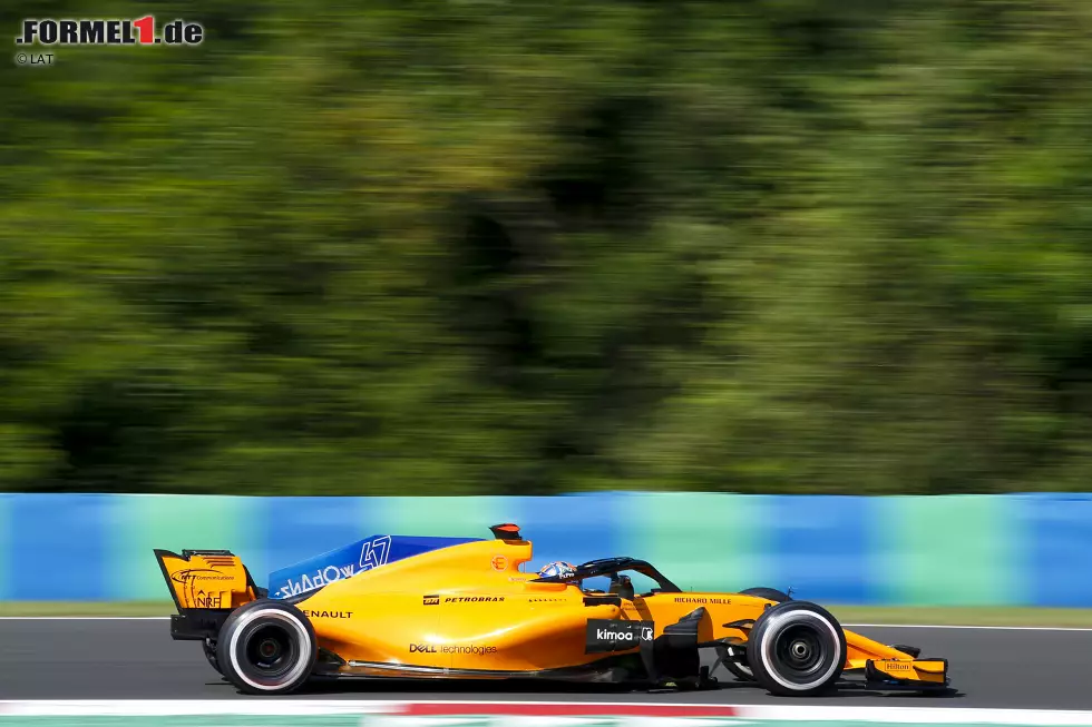 Foto zur News: Lando Norris