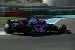 Foto zur News: Brendon Hartley (Toro Rosso)