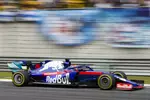 Foto zur News: Daniil Kwjat (Toro Rosso)