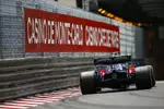 Foto zur News: Alexander Albon (Toro Rosso)