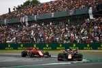 Foto zur News: Pierre Gasly (Red Bull) und Charles Leclerc (Ferrari)