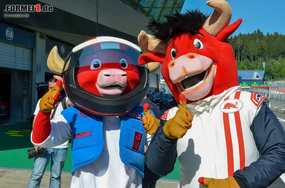 Foto zur News: Maskottchen am Red-Bull-Ring