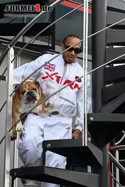 Foto zur News: Lewis Hamilton (Mercedes)