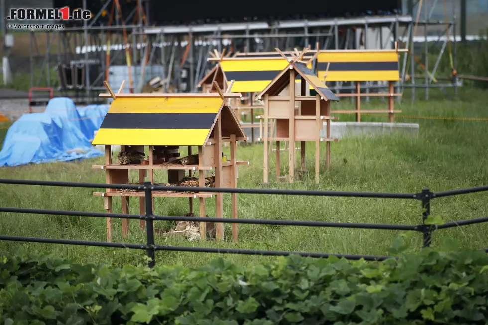 Foto zur News: Insektenhotels von Sebastian Vettel bei Kurve 2 in Suzuka