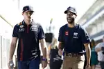 Foto zur News: Max Verstappen (Red Bull) und Daniel Ricciardo