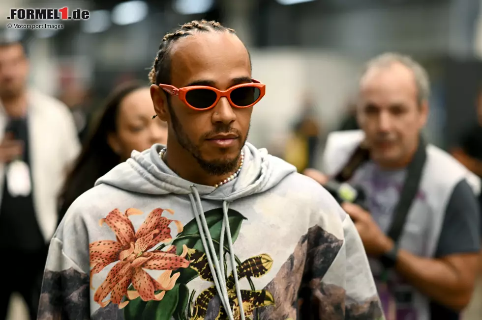 Foto zur News: Lewis Hamilton (Mercedes)