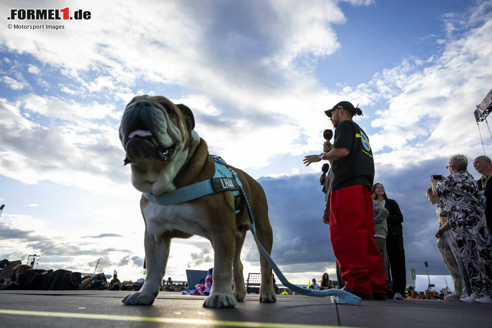 Foto zur News: Lewis Hamilton (Mercedes)