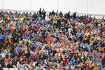 Foto zur News: Fans in Zandvoort