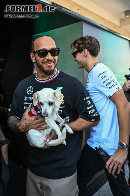 Foto zur News: Lewis Hamilton (Mercedes)