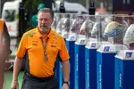 Foto zur News: Zak Brown