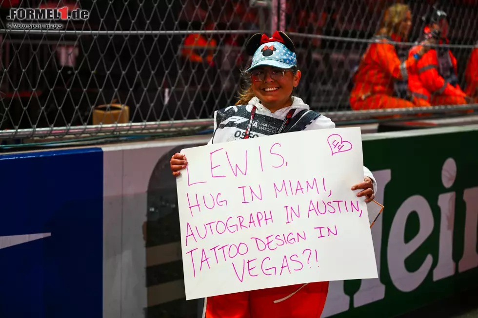 Foto zur News: Lewis Hamilton (Mercedes)