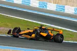 Foto zur News: Patricio O&#039;Ward (McLaren)