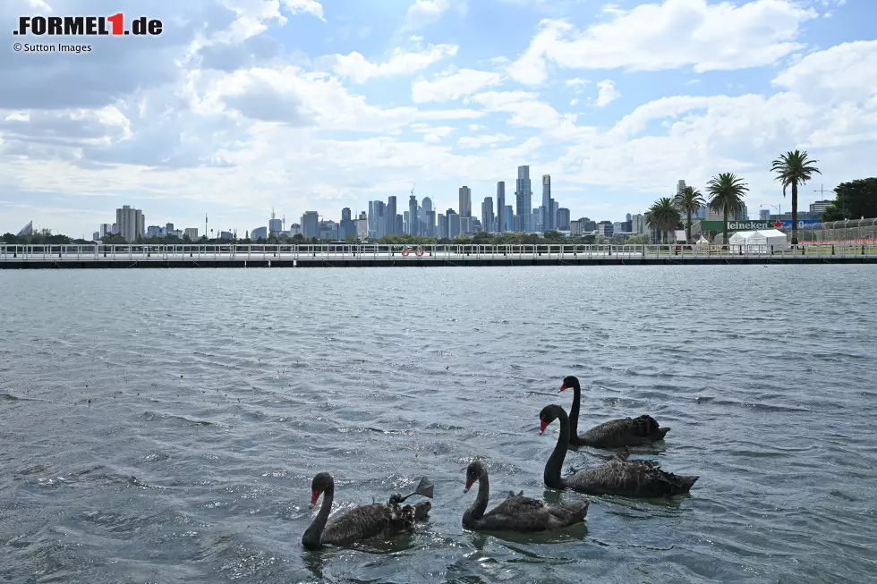 Foto zur News: Skyline von Melbourne