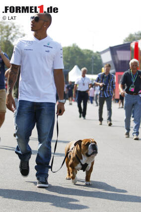 Foto zur News: T wie tierlieb: Hamilton ist ganz vernarrt in seine beiden englischen Bulldoggen Roscoe und Coco. Die Hunde dürfen auch schon mal mit ins Fahrerlager.