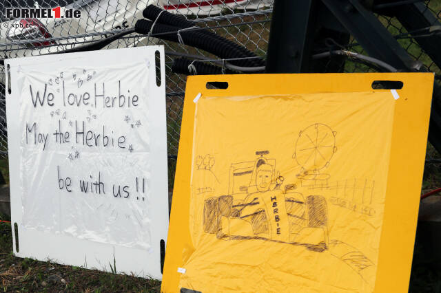 Foto zur News: Während in Europa vor allem die Herren Hamilton, Vettel und Alonso ihre Fans haben, Ferrari und vielleicht noch Mercedes, hat in Japan jedes noch so kleine Team einen Fanclub. Und sogar Herbie Blash, der FIA-Mitarbeiter, bekommt sein eigenes Plakat. Dass er schon seinen Ruhestand plant, kommt nicht bei allen gut an.