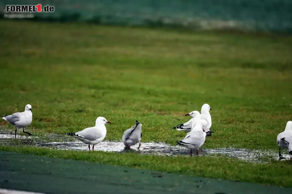 Foto zur News: Das Wetter im australischen Sommer ist übrigens ein unsicherer Verbündeter. Obwohl es richtig heiß werden kann, regnet es in Melbourne öfters und die Luftfeuchtigkeit steigt rapide an.