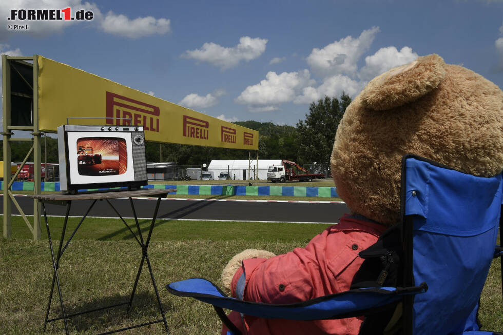 Foto zur News: Denn dieser Teddy wird wohl kaum die Aufgabe haben, bei den Track-Limits Schiedsrichter zu spielen. Was hinter dem neuen Formel-1-Maskottchen steckt, entzieht sich unserer Kenntnis. Ein Redaktionskollege tippt: Bernie Ecclestone hat jetzt neben Heineken auch Bärenmarke als Sponsor gewonnen!