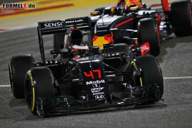 Foto zur News: Stoffel Vandoorne ist zwar streng genommen kein Rookie, aber er beginnt in Melbourne seine erste volle Formel-1-Saison. 2016 durfte er in Bahrain bereits als Ersatz für den verletzten Fernando Alonso ran. Vandoorne, der 24. Belgier in der Formel 1, holte bei seiner Premiere in Sachir als Zehnter gleich einen WM-Punkt.