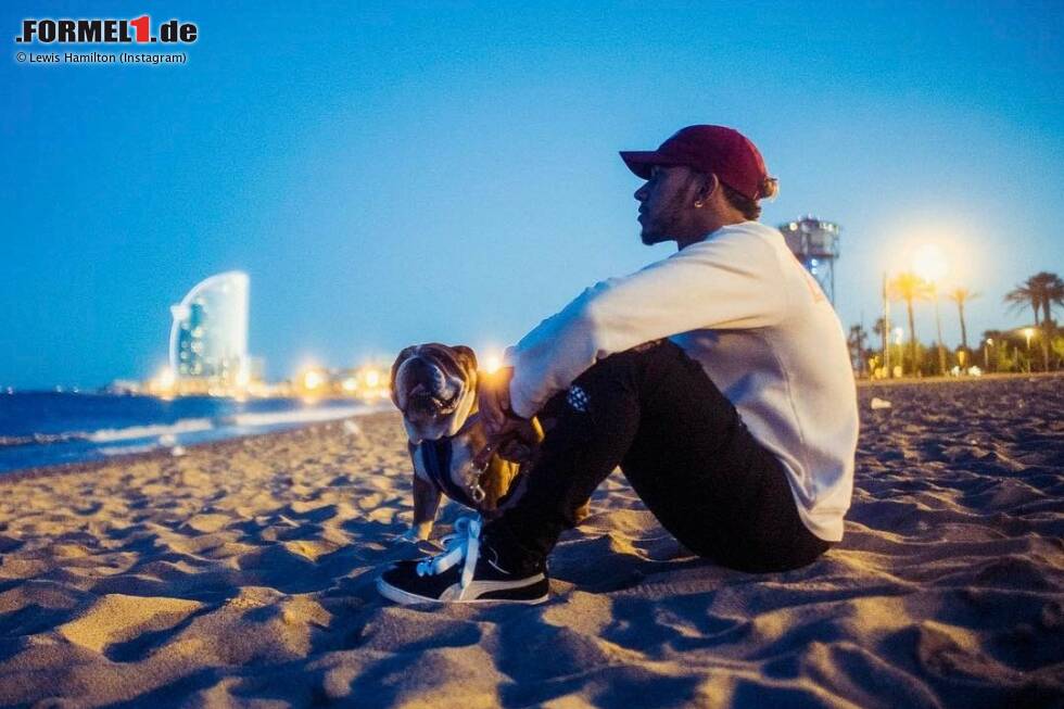 Foto zur News: Moment der Ruhe: Hamilton chillt auf dem Strand vor dem W-Hotel, in dem er einquartiert ist, mit Hund Roscoe. Der hat am Donnerstag in der FIA-PK seinen großen Auftritt. FIA-Pressechef Matteo Bonciani lässt die ungewöhnliche Begleitung ausnahmsweise durchgehen. Viele fragen sich: Muss das sein?