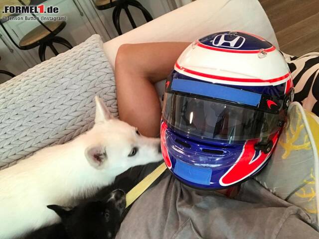 Foto zur News: Jenson Button ist wohl froh, dass er die McLaren-Honda-Gurke nicht mehr an der Backe hat. Die lange Flugreise nach Melbourne spart er sich - um stattdessen vor Ort in Fontana NASCAR zu schauen. Sein nächster Rennfahrer-Job? Den Helm hat er jedenfalls sicherheitshalber immer im Gepäck.