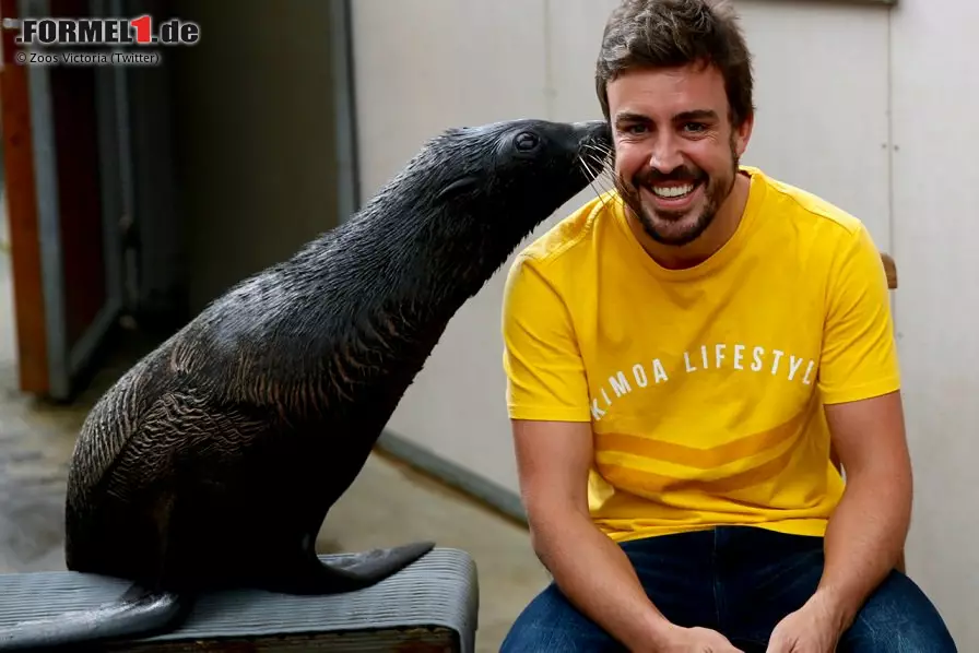 Foto zur News: Im Zoo von Melbourne freundet sich Fernando Alonso mit der Tierwelt an. Da kann der McLaren-Star noch lachen. Nach dem (in eigenen Worten) besten Rennen seines Lebens, in dem er hoffnungslos hinterherfährt, ist die Laune nicht mehr so gut.