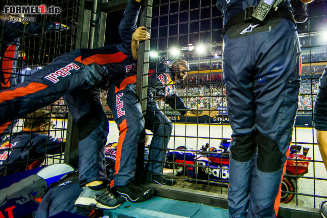 Foto zur News: Sainz, Nutznießer von Hülkenbergs Pech, rückt somit auf den vierten Platz auf - das beste Ergebnis seiner Karriere! Am Boxenfunk übermannen ihn die Emotionen: "Vamos!" Teamchef Franz Tost funkt gerührt zurück: "Du wirst bei uns bleiben, Carlos. Wir lassen dich nicht gehen!" Dabei steht der Wechsel zu Renault schon fest.