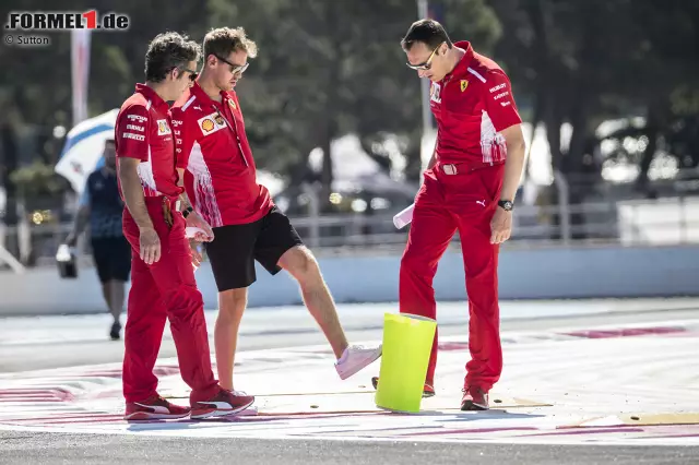 Foto zur News: Sebastian Vettel ist kein Fan: "Vielleicht ist die Strecke nicht die aufregendste, die es in Frankreich gibt. Wenn der Frankreich-Grand-Prix im Kalender bleibt - was ich hoffe -, dann wäre es vielleicht schön, irgendwo anders hinzugehen."