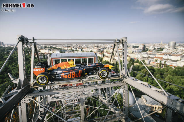 Foto zur News: ... Einer Runde auf dem berühmten Riesenrad!