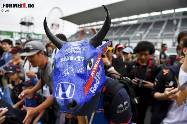 Foto zur News: Hier hat jemand "Toro Rosso" offenbar etwas zu wörtlich genommen ...