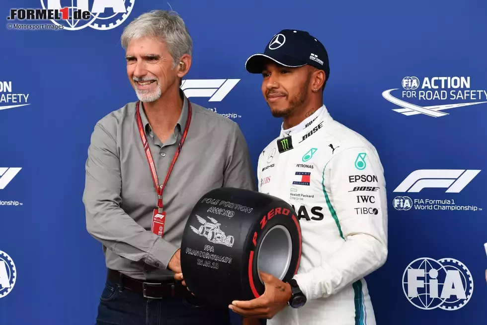 Foto zur News: Damon Hill: &quot;Jetzt kann ich wohl nicht mehr von mir behaupten, den besten Formel-1-Fahrer geschlagen zu haben. Ich hatte aber trotzdem eine gute Karriere. Danke, [Michael] Schumacher und willkommen, Lewis Hamilton, [als] GOAT [in der] Formel 1.&quot;