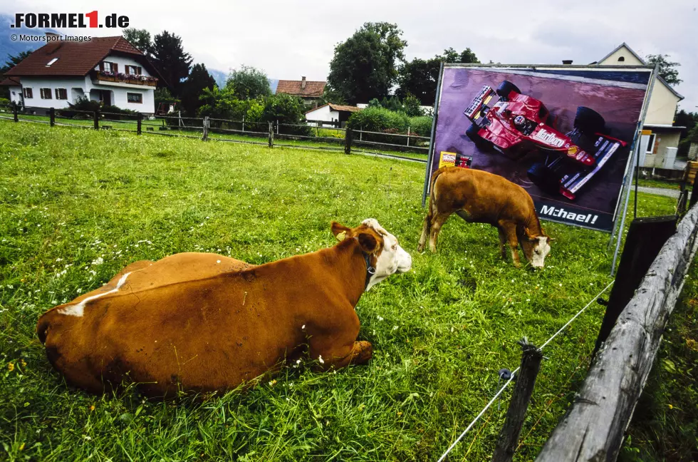 Foto zur News: Eine Bürgerinitiative formiert sich gegen die Mateschitz-Pläne, der Umweltsenat entzieht die Genehmigung für das Projekt. Dennoch werden einige Gebäude an der Strecke bereits abgerissen, der Ring gleicht einer Ruine. Nur Plakate erinnern noch an die glorreichen Formel-1-Zeiten im Murtal.