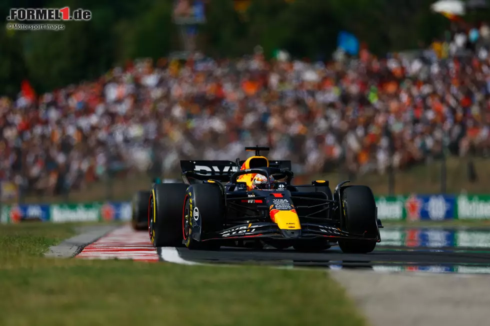 Foto zur News: 2024: Max Verstappen / Red Bull